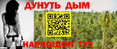 сатива Кунгур