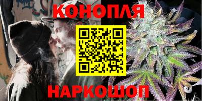 сатива Кунгур