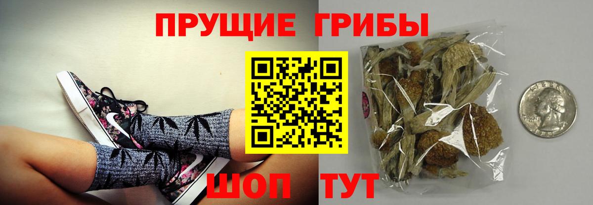 Туймазы  Псилоцибиновые грибы мухоморы  Вход с VPN  наркота  Галлюциногенные грибы Psilocybe 